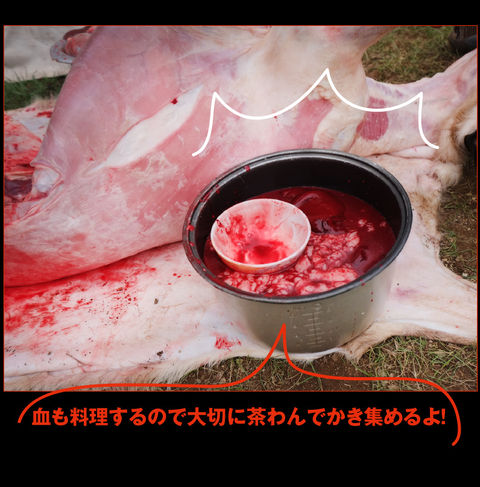 mongol-07-0008