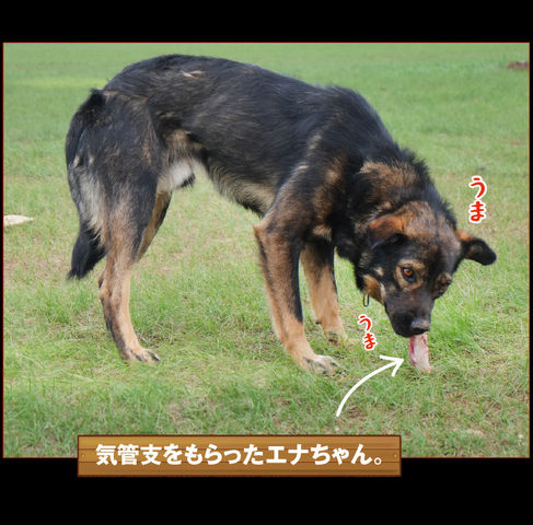 mongol-07-0019