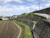IMG_5464