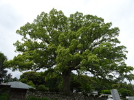 DSC01360