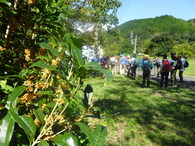 DSC05045