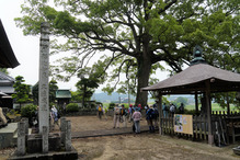 DSC03932 (2)