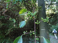 DSC04895