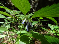 DSC00380