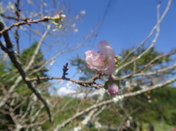 DSC05043