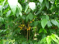 DSC02190