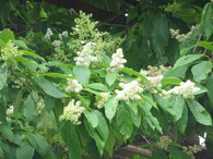 DSC02119