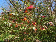 DSC04893