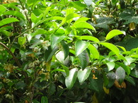 DSC02165