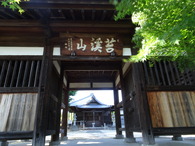 DSC01398