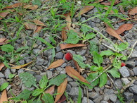 DSC02154
