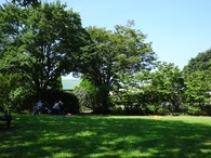 DSC06605s