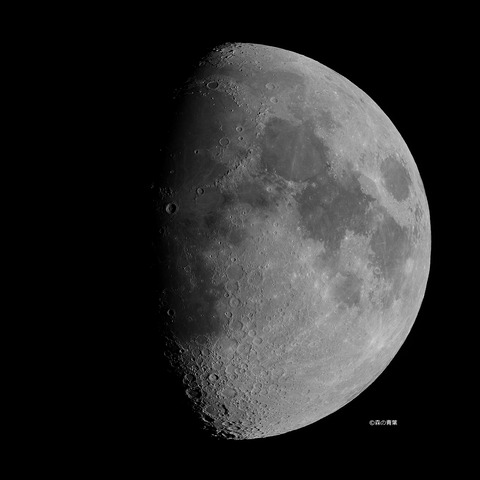 _DSC5768_lapl7_ap10436high-11xbw-3k