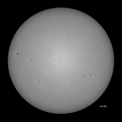 DSC_5303_lapl5_ap65488std2-11bw-3k