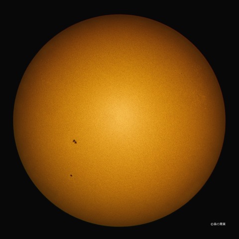 DSC_8760high-12-1-3k