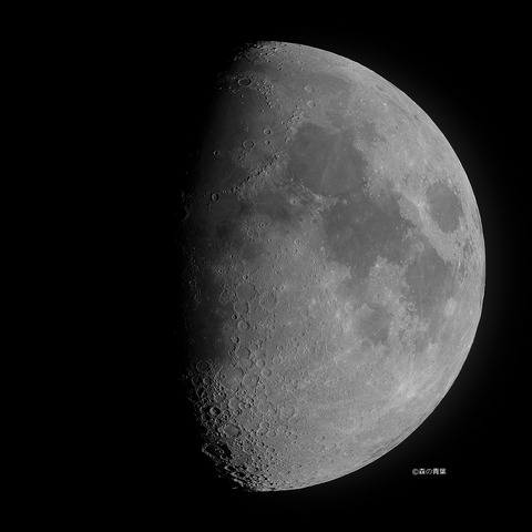 DSC_7617_lapl5_ap37950tuki-10bw-3k