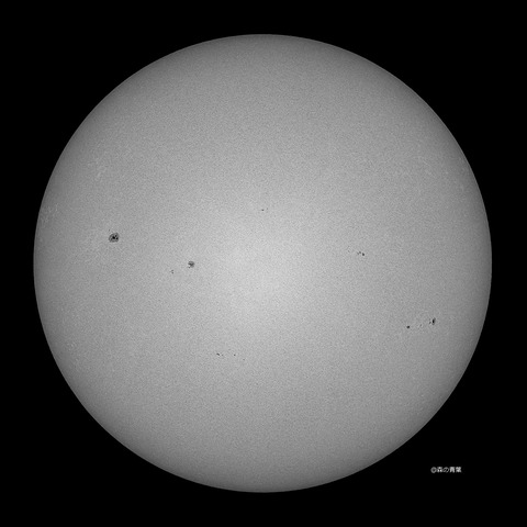 DSC_5623_lapl5_ap65608sun-sharp12bw-3k