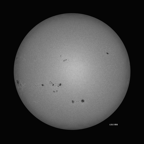 DSC_1200_lapl5_ap63414_conv-50bw-3k