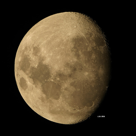 _DSC5144_lapl7_ap13462_conv-25-3kp