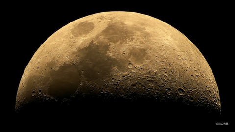 DSC3938std-12x-Gr-1Df-3k