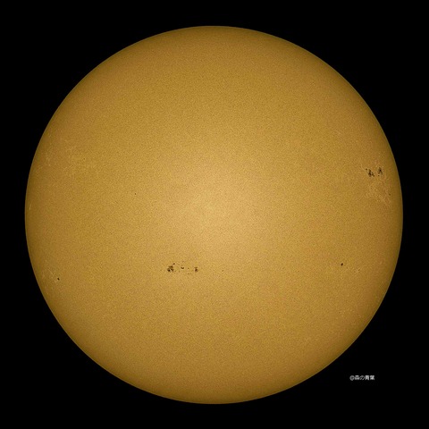 DSC_4143_lapl5_ap65336std2-12-13k