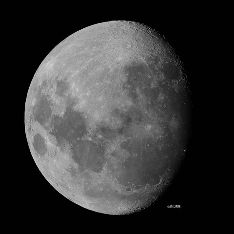 _DSC5144_lapl7_ap13462_conv-25bw-3k