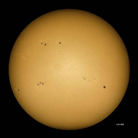 DSC_1520_lapl5_ap63200std2-10-1-3k