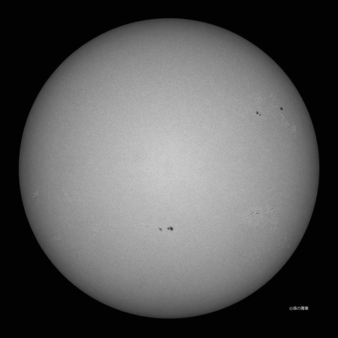 DSC_1740_lapl5_ap63033sun2-09bw-3k