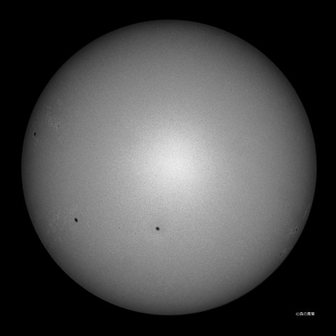 DSC_1871md-12-1np-3k