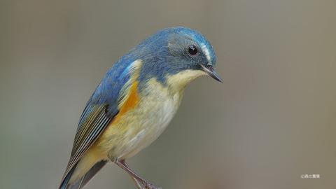 202011030815382f4-3k