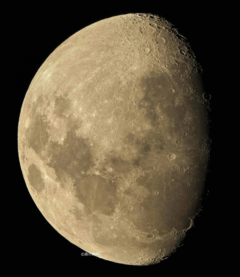 _DSC8805_stack_lapl5_ap75465_conv25_stitch-ALL_filtered-1