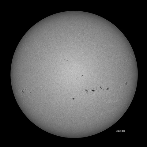 DSC_6499_lapl5_ap63241_conv-50bw-3k