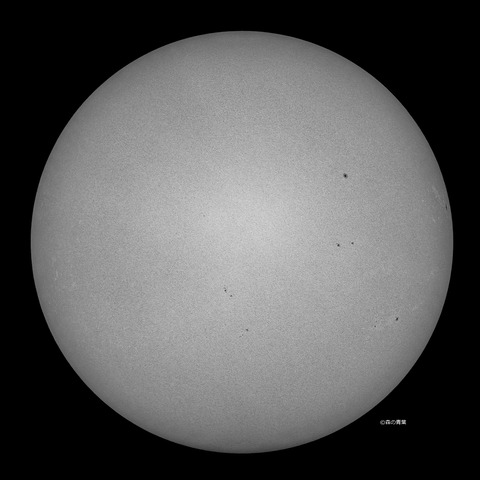 _DSC5203_lapl5_ap8262_conv50bw