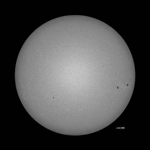 _DSC0483_lapl7_ap15244_conv40bw-3k