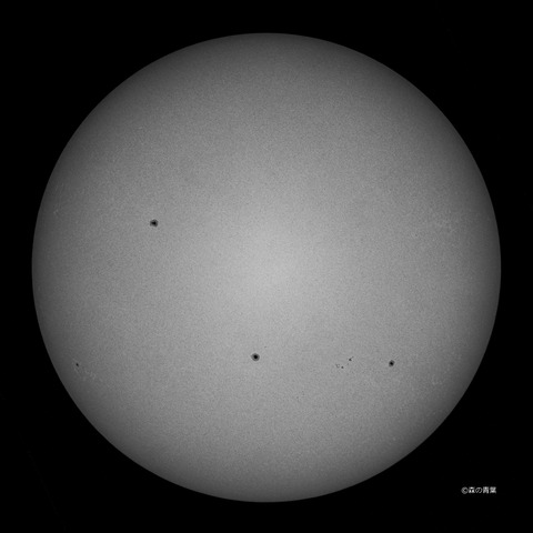 DSC_4151hi-1-11-1snap-3k