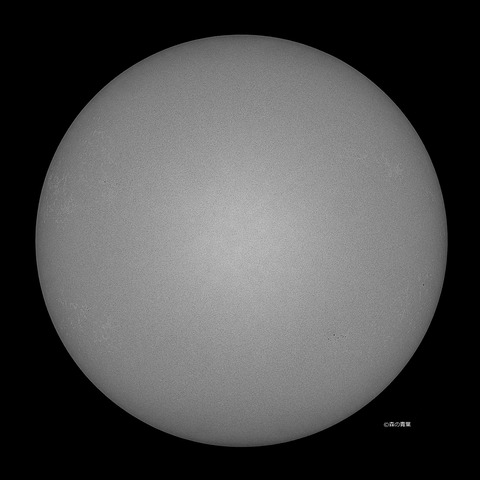 DSC_0881_lapl5_ap66053sun-std-13bw-3k