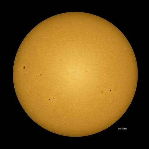 DSC_5303_lapl5_ap65488sun-sharp11-3k