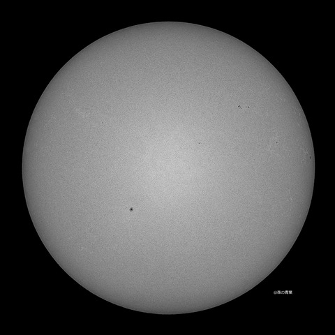 DSC_7263_lapl5_ap127241sharp-10bw-3k