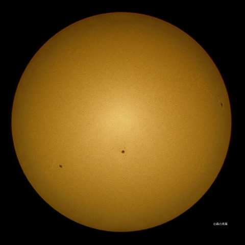 _DSC9103high-12q-W-2-4k