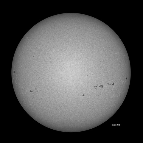 DSC_6619_lapl5_ap63194_conv-80bw-3k