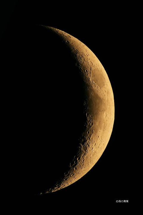 DSC_1148Low1-10-3defi-z-3k