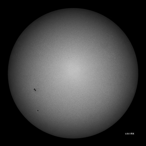 DSC_8520high-13-1snap-1-3k