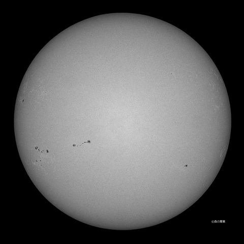 DSC_1960_lapl5_ap63200sun-11bw-3k