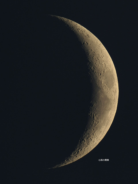 _DSC0083_lapl7_ap182449_conv50-3k