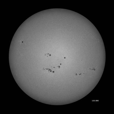 DSC_8311_lapl5_ap63398_conv-50-bw3k