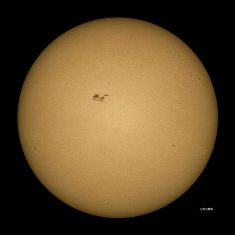 DSC_5294_lapl5_ap63113std2-09-3k