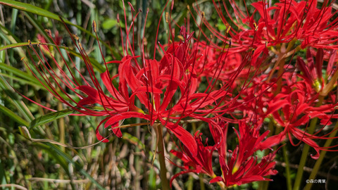 PXL_20250924_024015223