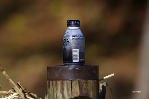 IMGP8571-Canon250D-3k