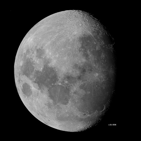 DSC_0221_lapl5_ap55243sharp-11bw-3k