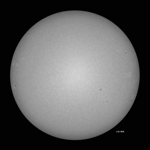 _DSC5423_lapl5_ap8240_conv80bw